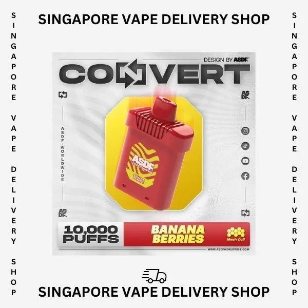 ASDF Convert 10000 Puffs - Double mango (Kit Set) - Image 3