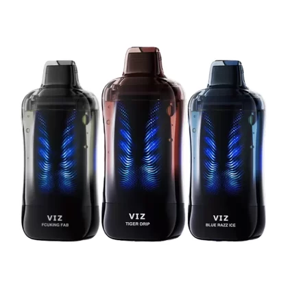 Lost Mary VIZ 55K Disposable Vape - Baja Splash, Blue Razz Ice