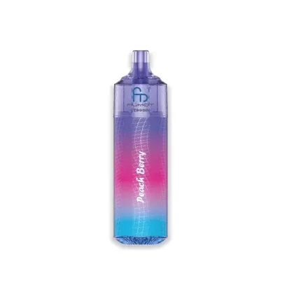 Fumot RandM Tornado T9000 Puffs Peach Berry