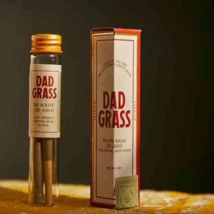 Dad Grass CBD Pre Rolled Hemp Twoobie - Vape Store