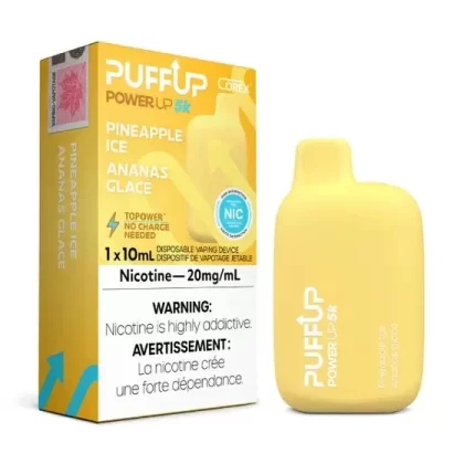 PUFF UP 5K – PINEAPPLE ICED