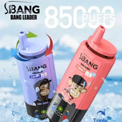 Bang Leader 85000 – 85K Puffs Triple Flavor OEM/ODM Disposable Vape - Flamevape