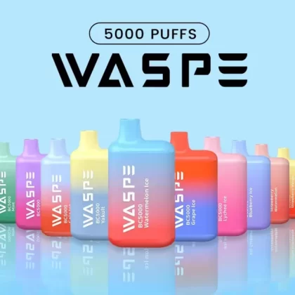 WASPE 5000 Puffs | 13mL, 0%-5% strength, bulk disposable vape - Aiviouvapes