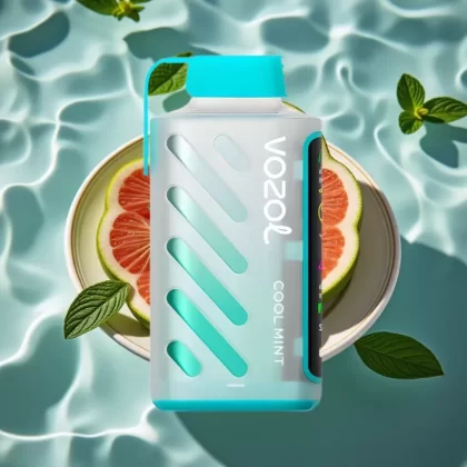 VOZOL Gear Power 20000 Puffs Dual Mesh Coil Cool Mint Disposable Vape with S.i.L.C. Tech & Full Screen Display - Bangvapeaustralia