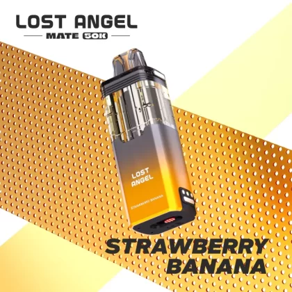 Lost Angel MATE 50K Disposable Device POD – 50000 Puffs - Miami Mint