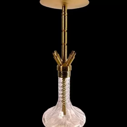 WD Hookah | X40 g-1 Edelstahlshisha | Gold- Transparent