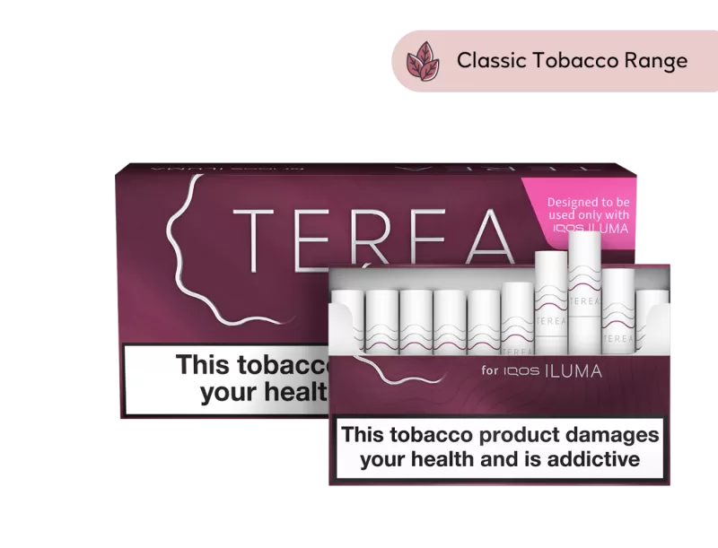 TEREA - Russet - Image 3