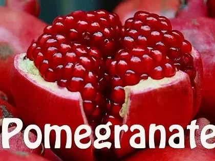 Pomegranate Premium E-Liquid