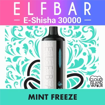 ELF BAR E-Shisha 30000 Disposable Vape – Mint Freeze