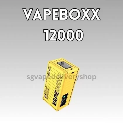 Vapebox 12000 Puffs - Kiwi Strawberry Apple
