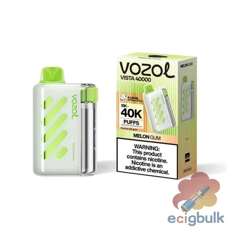 VOZOL VISTA 40000 Puff Nicotine Salt Disposable Vape | 1000mAh