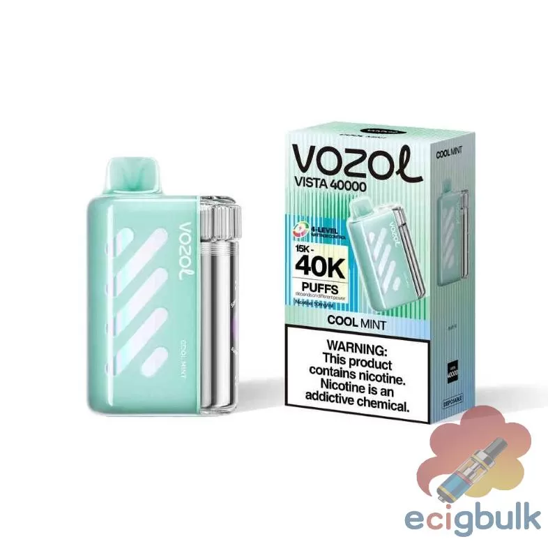 VOZOL VISTA 40000 Puff Nicotine Salt Disposable Vape | 1000mAh - Image 3