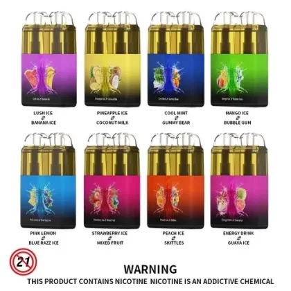 Original RANDM 2 In 1 Twins Rechargeable Disposable Vape Pen Device 6000 Puffs 550mAh ( )
