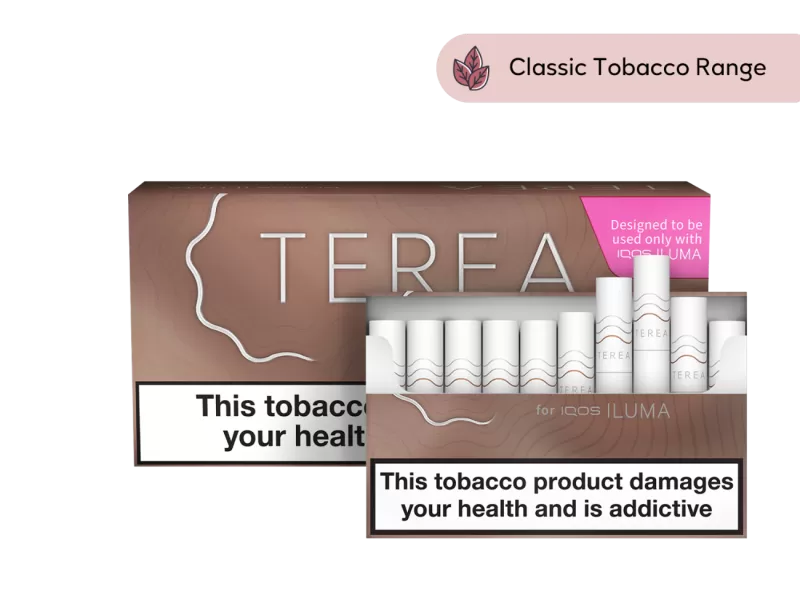TEREA - Teak - Image 3