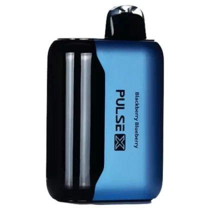 Blackberry Blueberry – Geek Bar Pulse X 25000