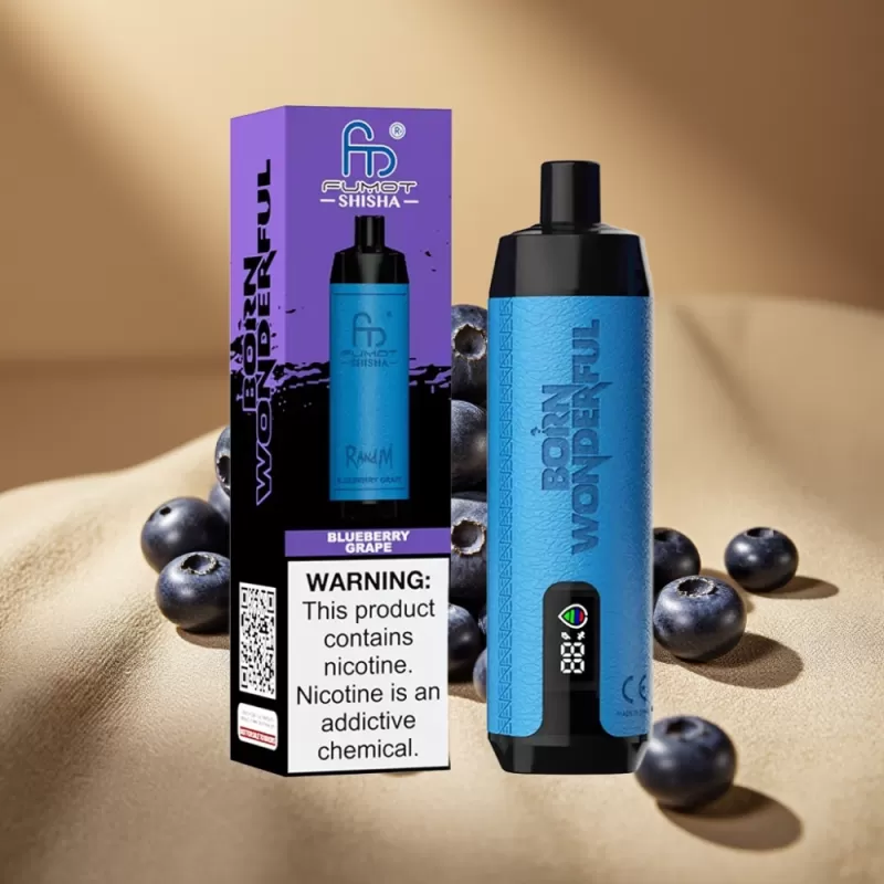 RandM Fumot Shisha 10000 Puffs Disposable Vape with LED Indicator & Type-C Port – Blueberry Grape - Image 2