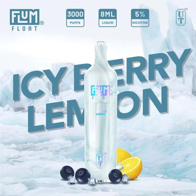 Flum Float 3000 Puffs Disposable Vape Device - Aloe Grape, Aloe Mango Melon Ice - Image 2