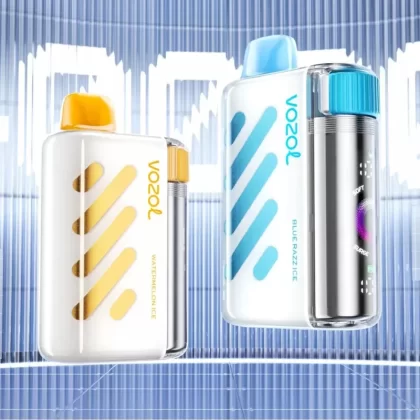 Vozol Vista 40000 – 40K Puffs 4-Stage Wattage Control 5% Nicotine Disposable Vape Wholesale Price - Flamevape