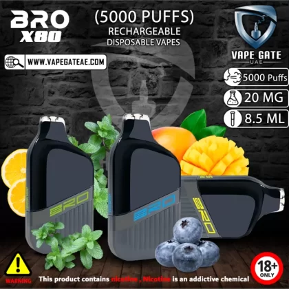 BRO X08 RECHARGEABLE DISPOSABLE VAPES (5000 PUFFS) - 20 mg / Gum Mint