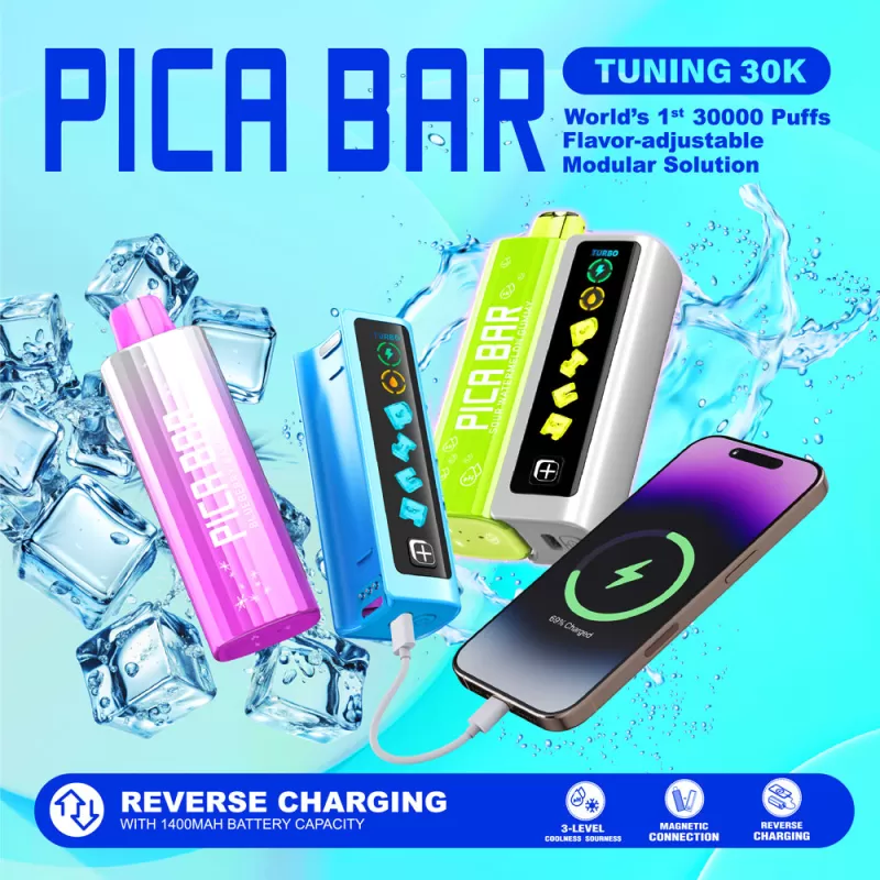PICA BAR "TUNING" 30K Disposable KIT - 30,000 Puff - Winter Mint