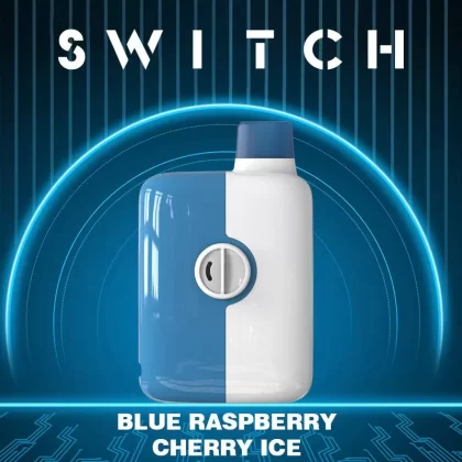 Mr Fog Switch Disposable Vape | 5000 Puffs