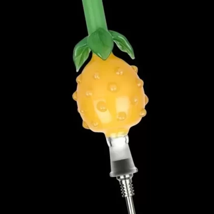 Perky Pineapple Glass Honey Straw with Titanium Tip - Ejuicewarehouse