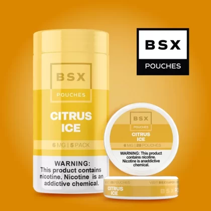 Citrus Ice – Nic Pouches