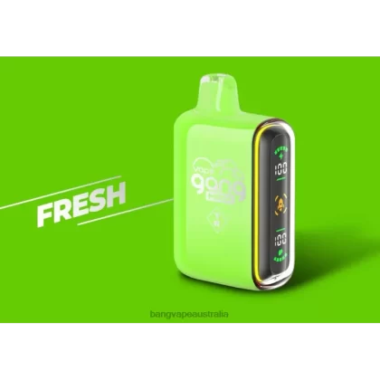 Vape Gang MEGA 20,000 puffs Disposable Vape (Box of 5) 6006N53 Fresh – Bang Vape Australia - Bangvapeaustralia