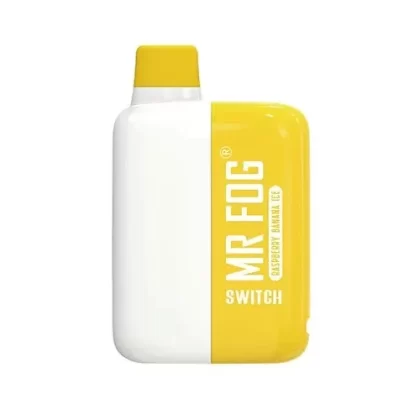 Mr. Fog Switch Rechargeable Disposable Vape