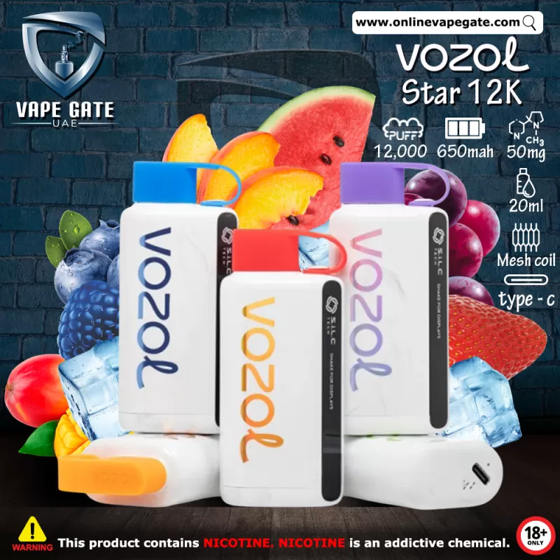 Vozol Star 12K Rechargeable Disposable Vape (12,000 Puffs) - Pineapple Coconut Ice / 50 mg