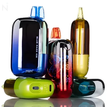 INTO BIT 50K 50,000 Puffs Disposable Vape - Strawberry Watermelon