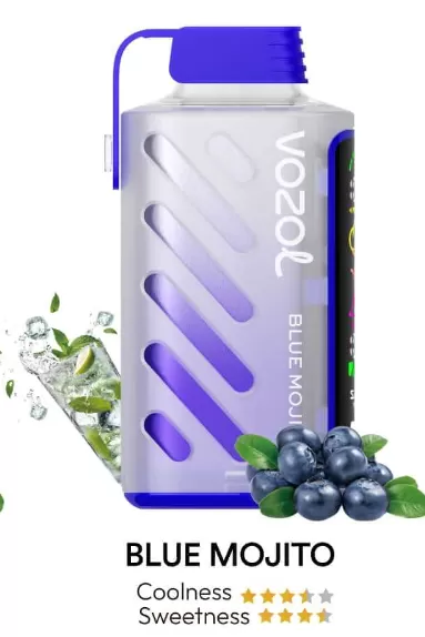 VOZOL Gear Power 20000 Rechargeable Disposable Kit (LED Display) - GRAPE ICE - Image 3