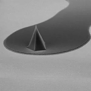 FASTSCAN-D