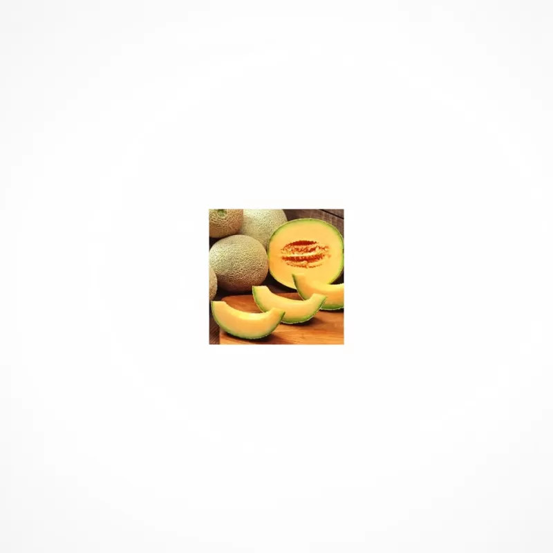 TFA Cantalupo puffs fuerza media soluble en agua - Fumotvapemexico