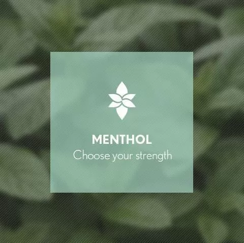 Menthol By Blast E-Liquid 10ml - Nicotine Free