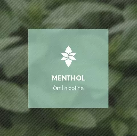 Menthol By Blast E-Liquid 10ml - Nicotine Free - Image 3