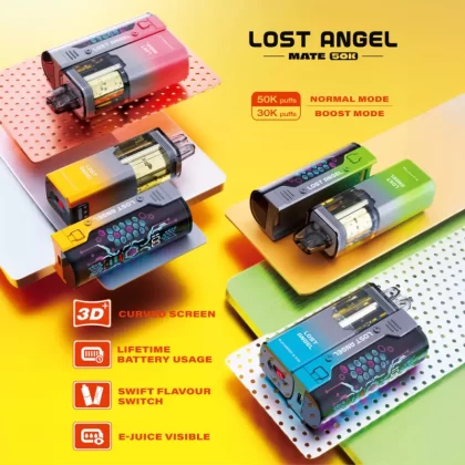 Lost Angel MATE 50K Disposable Device KIT – 50000 Puffs - Miami Mint