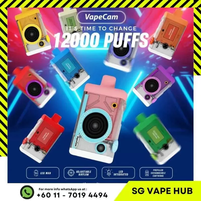 VAPECAM 12,000 Puffs - Starter Kit (Battery + Cartridge) / Mango Blackcurrant - Image 3