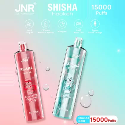JNR Shisha Hookah 15K Disposable E-Hookah - 15000 Puffs - Lady Killa (Mixed Berries)