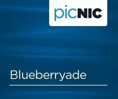 Blueberry Lemonade E Liquid Flavour Shot