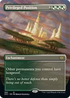 Privileged Position (Borderless) (385) (2X2)