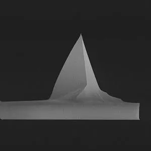 MESP-LM-V2