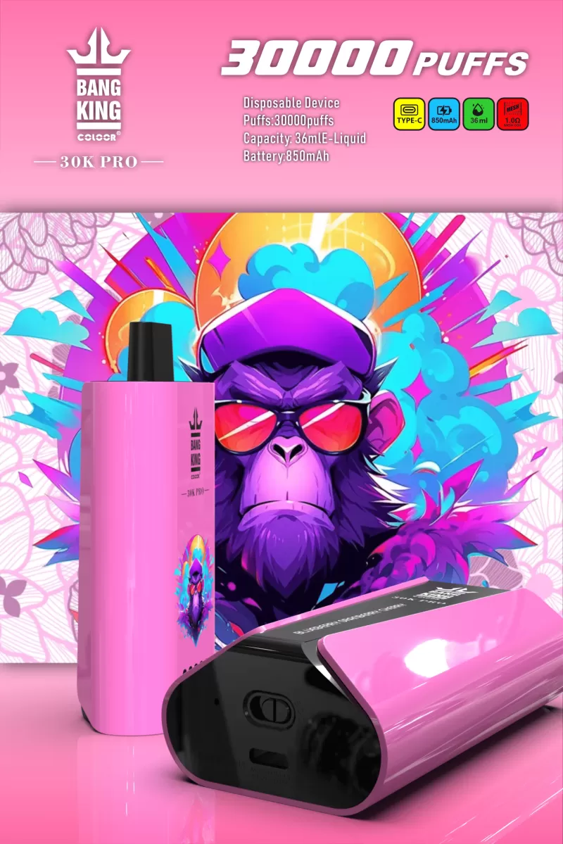 Bang King 30K Pro – 30K Puffs 36ml 0-5% Nicotine Disposable Vape Wholesale Price - 30000 puffs; Vape Product, Vape Product; Blueberry Cranberry Cherry, Blueberry Ice - Image 2