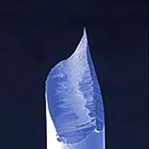 CLST-PTBO