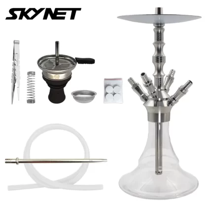 Skynet Lune