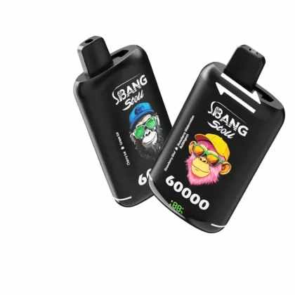 Bang Leader Stoll 60000 Puffs Double Flavors Smart LED Vape - Random Mix, Watermelon Ice & Strawberry Watermelon Bubblegum; 3-nicotine, 2-nicotine
