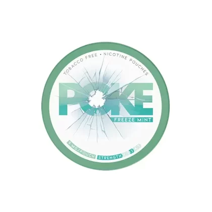 9 mg erfrischende Freeze-Mint-Nikotinbeutel – 20 Packungen - Vape Store