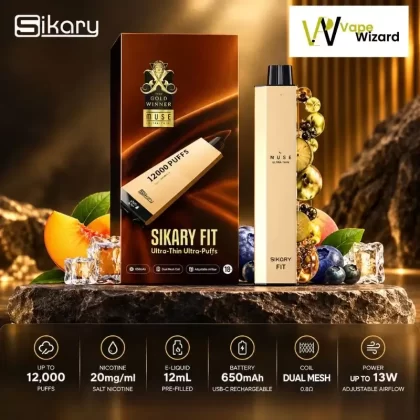 Sikary Fit 12000 Puffs Disposable Vape - Black Grape, Blue Razz Ice; Vape Product, Box of 10 Pcs (857F45)