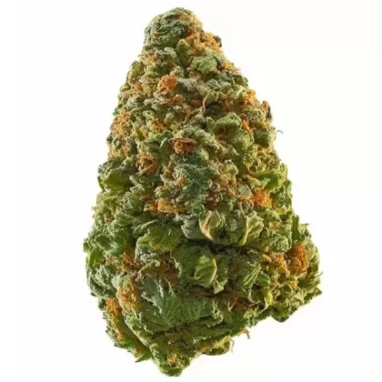 Bonsai OG – Sativa (Exotic)
