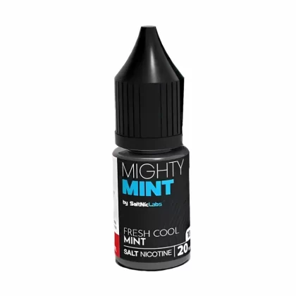 VGOD Mighty Mint Nic Salt vape Juice - 10 Pack - Strength 10mg